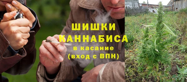 ПСИЛОЦИБИНОВЫЕ ГРИБЫ Абдулино