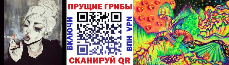 магазин продажи наркотиков  ОМГ ОМГ ССЫЛКА  Галлюциногенные грибы ЛСД  Кемерово 