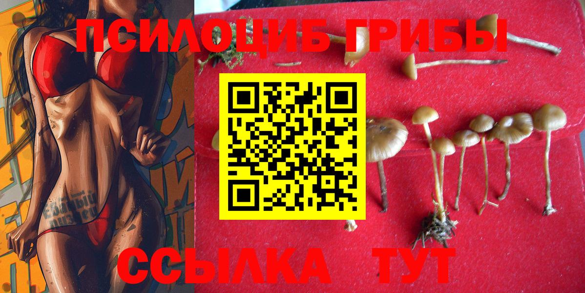 Галлюциногенные грибы ЛСД  Вход с VPN  как найти закладки  Кемерово 